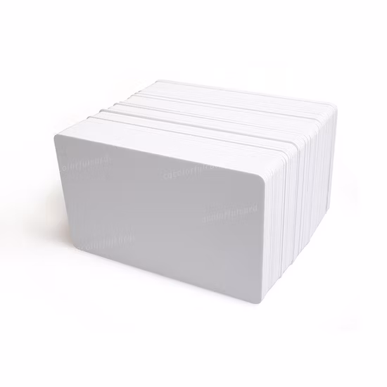 300 biglietti d'auguri Oersteds Loco Mag Stripe/carta bancaria in PVC stampabile su entrambi i lati con banda magnetica vuota a getto d'inchiostro